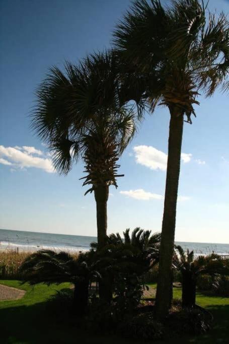 *Renovated Oceanfront Condo*Queen Beds*Pools*Hot Tubs*More*P220 Myrtle Beach Esterno foto